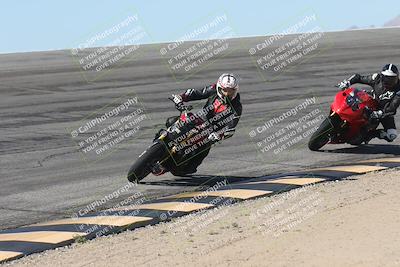 media/Oct-13-2025-Moto Forza (Mon) [[a66d839500]]/3-B Group/Session 2 (Bowl)/